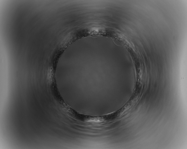 X0000094180659200711091143