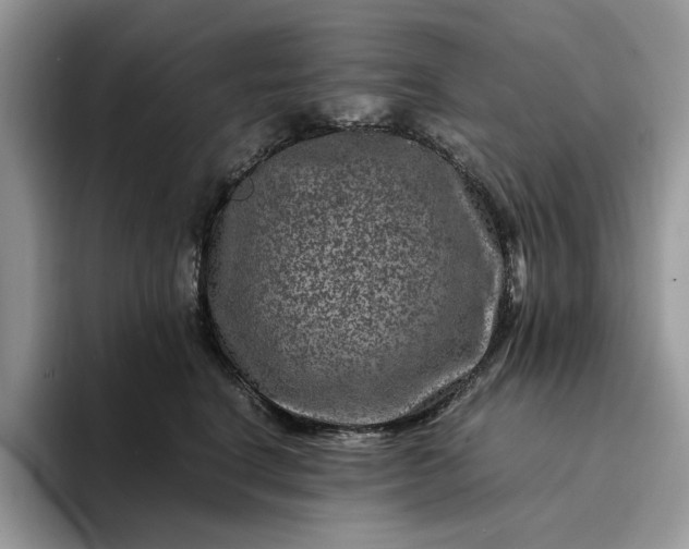 X0000094180664200711091143