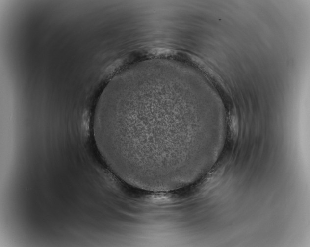 X0000094180668200711091143