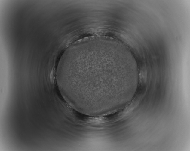 X0000094180671200711091143