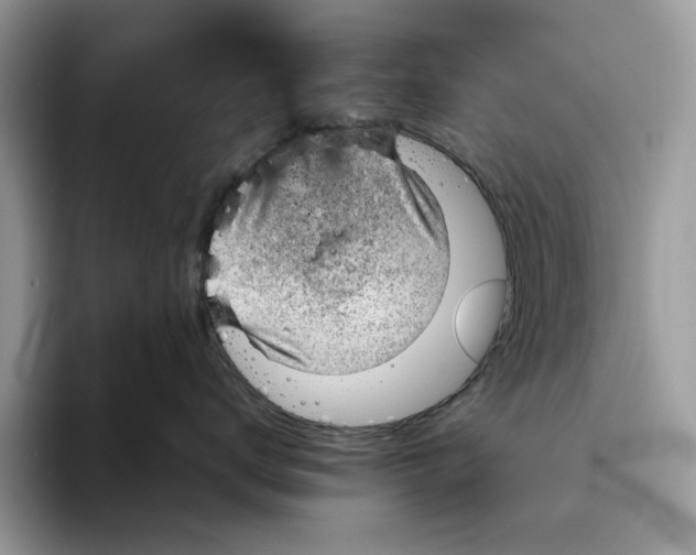 X0000094180672200711091143