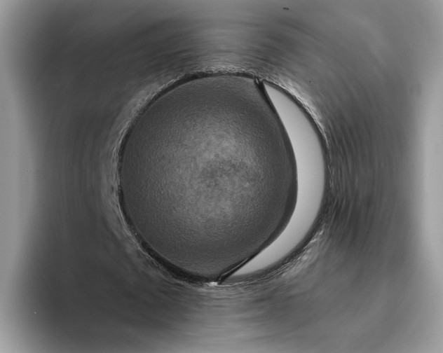 X0000094180673200711091143