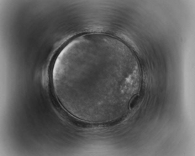 X0000094180674200711091143