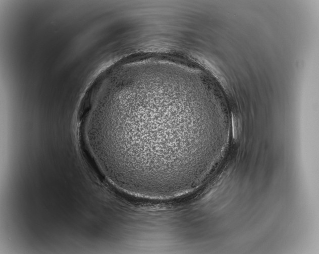 X0000094180675200711091143