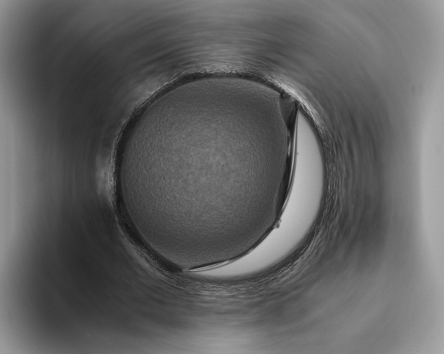 X0000094180677200711091143