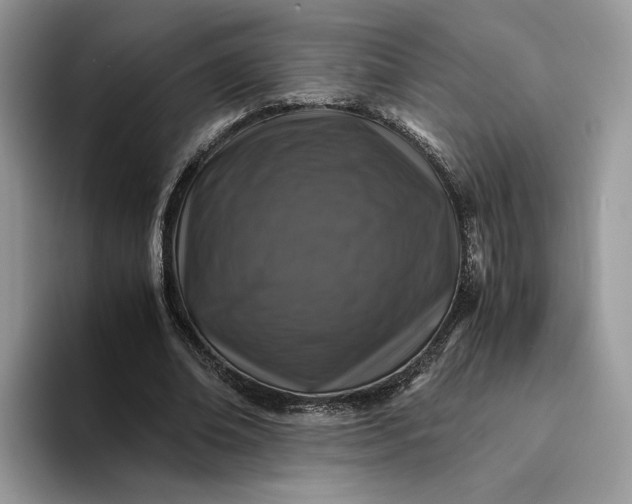 X0000094180678200711091143