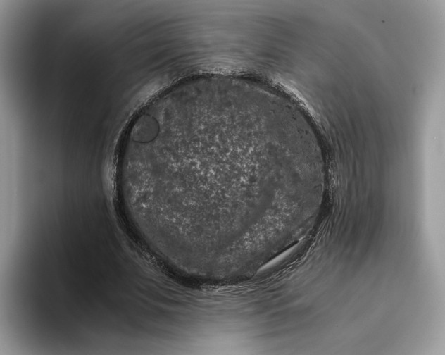 X0000094180679200711091143