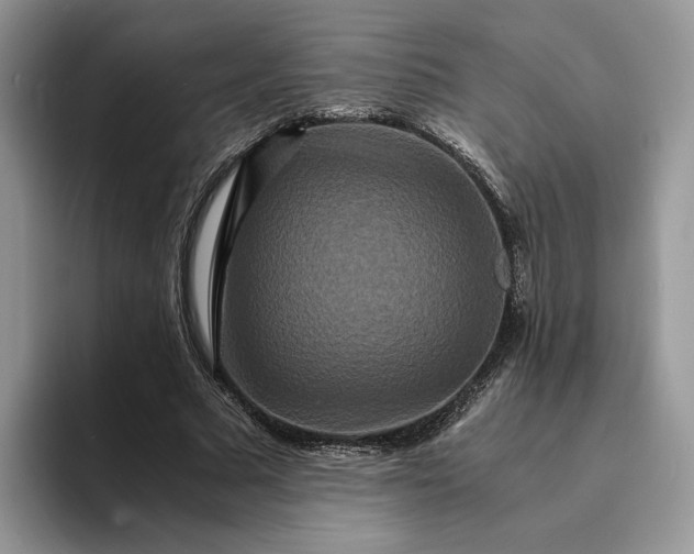 X0000094180681200711091143