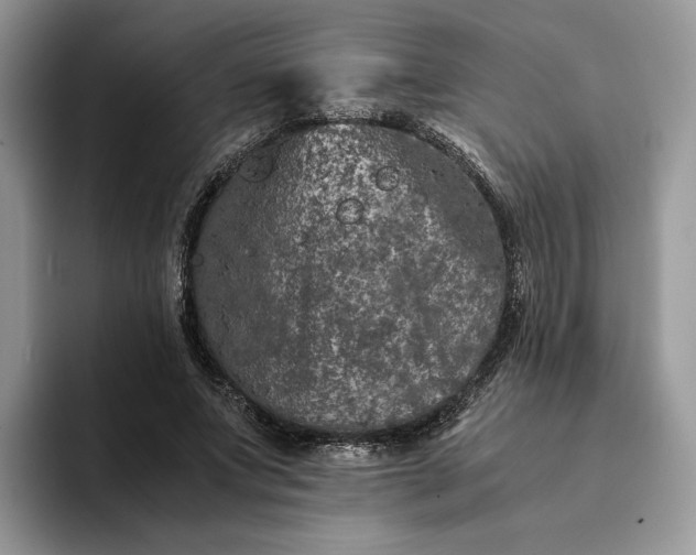 X0000094180687200711091143