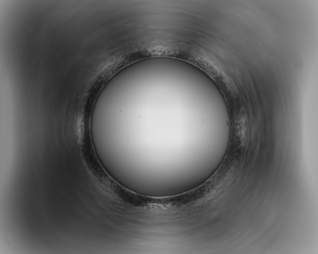 X0000094180690200711091142