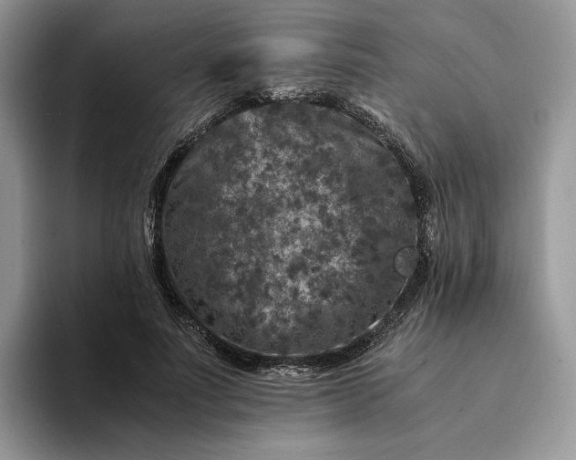 X0000094180691200711091142