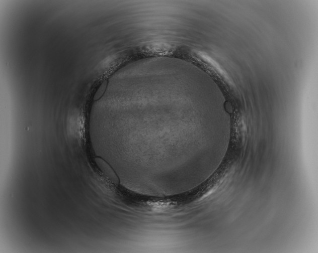 X0000094180693200711091142