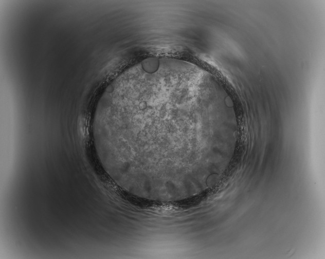 X0000094180695200711091142
