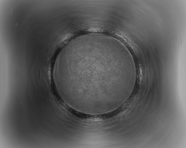 X0000094180696200711091142