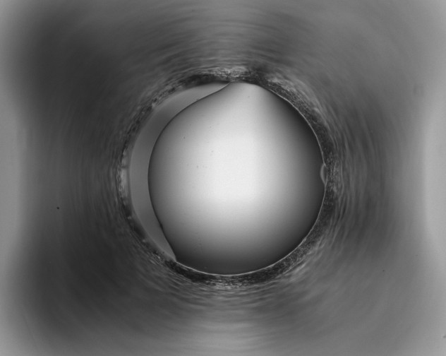 X0000094180697200711091142