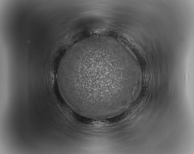 X0000094180703200711091142