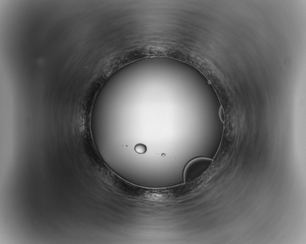 X0000094180706200711091142