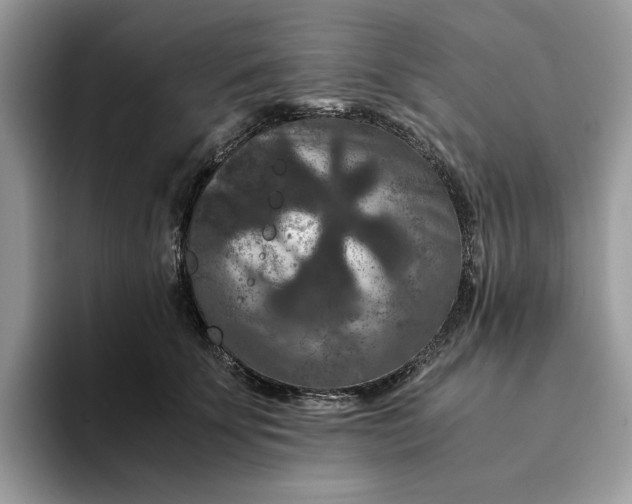 X0000094180707200711091142