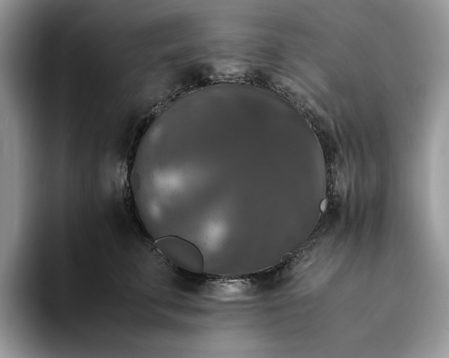 X0000094180711200711091142