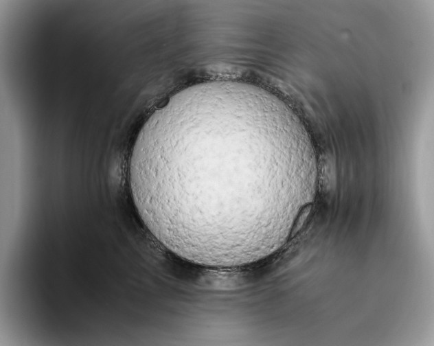 X0000094180713200711091142