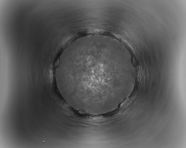 X0000094180716200711091142