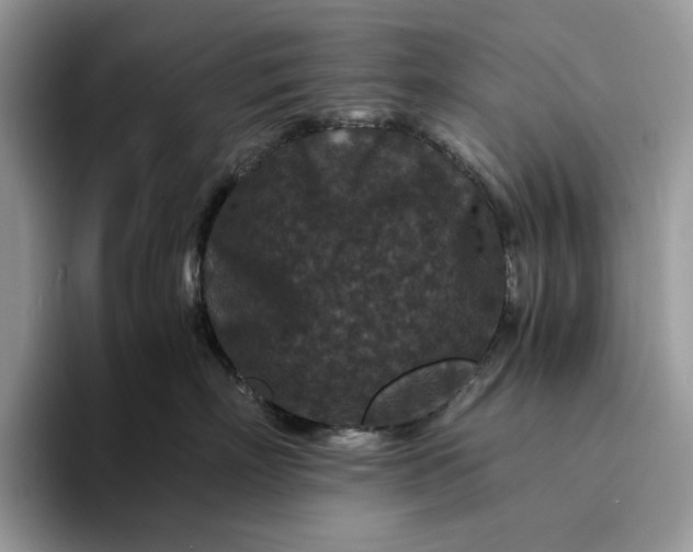 X0000094180718200711091142