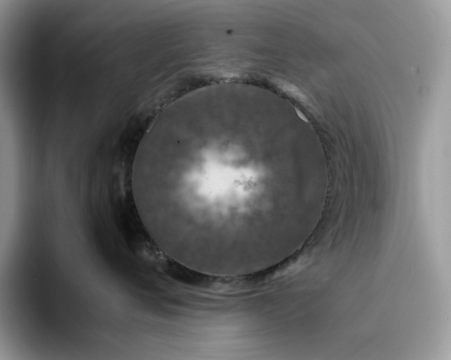 X0000094180720200711091142
