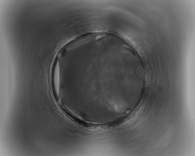 X0000094180721200711091142