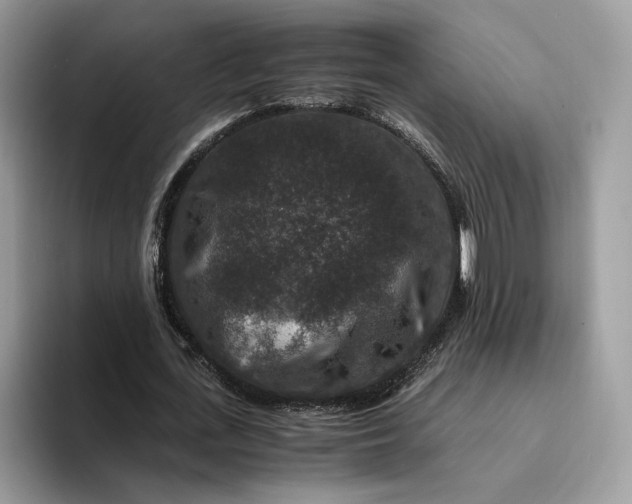 X0000094180723200711091142