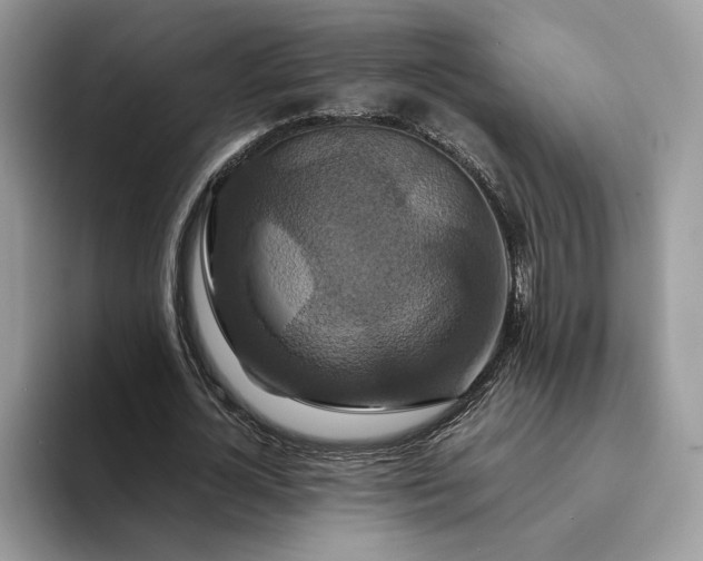 X0000094180724200711091142