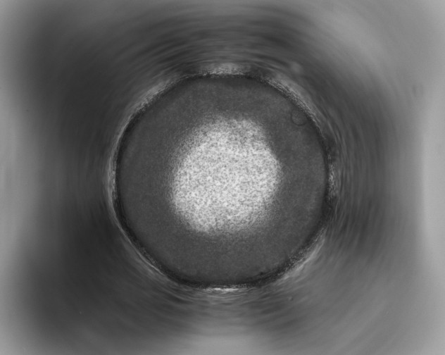X0000094180725200711091142