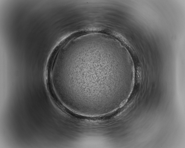 X0000094180726200711091142
