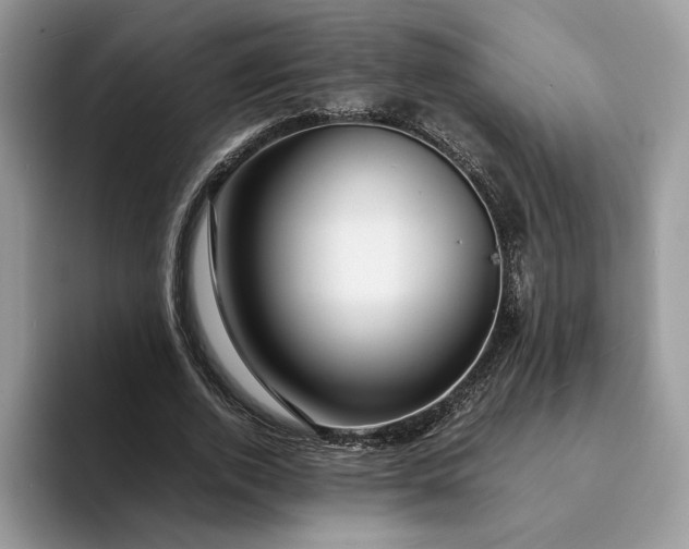 X0000094180728200711091142