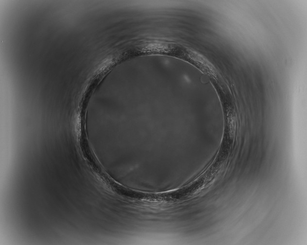 X0000094180729200711091142