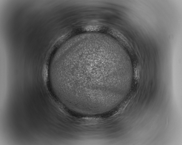 X0000094180733200711091142