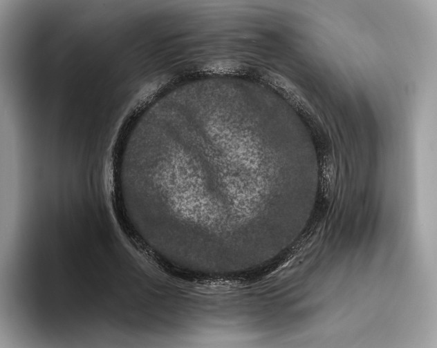 X0000094180734200711091142