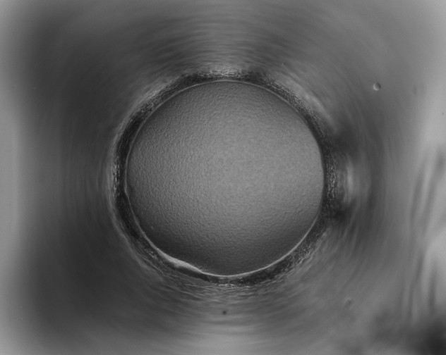 X0000094180736200711091142