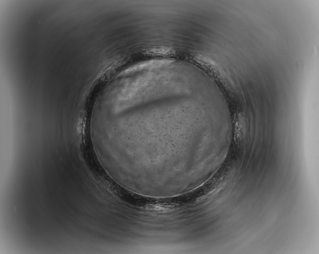 X0000094180739200711091142