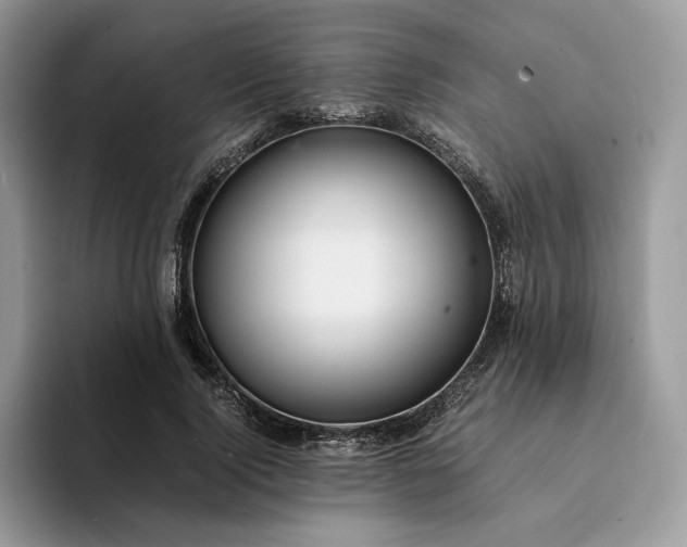 X0000094180740200711091142