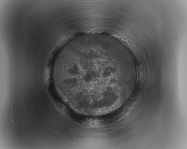 X0000094180742200711091142