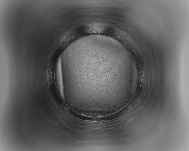 X0000094180743200711091142