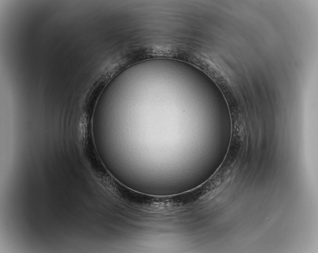 X0000094180744200711091142