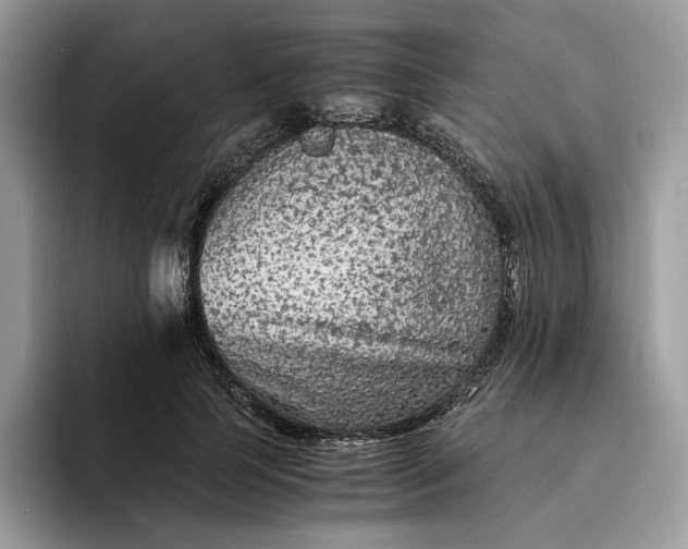 X0000094180745200711091142
