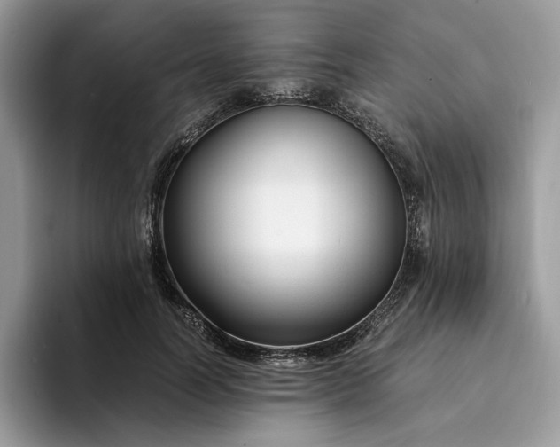 X0000094180746200711091142