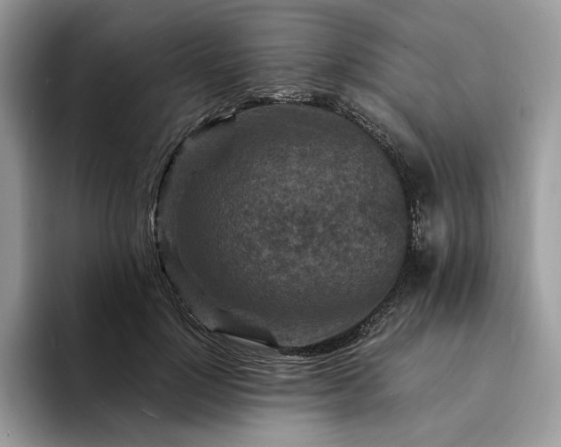 X0000094180748200711091142