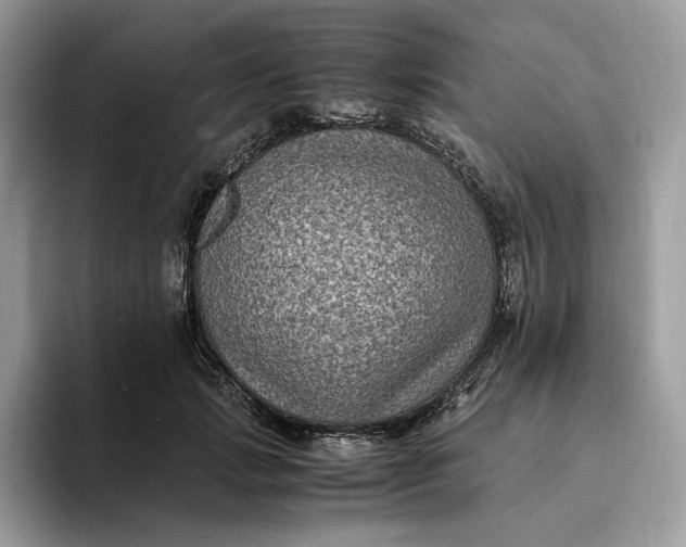 X0000094180749200711091142
