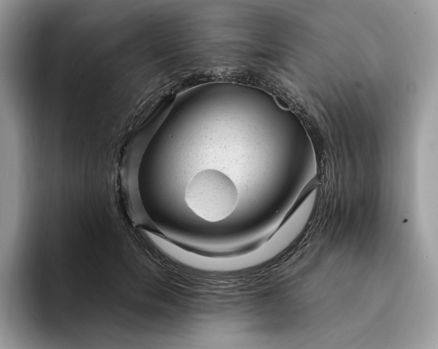 X0000094180750200711091142