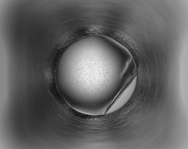 X0000094180751200711091142