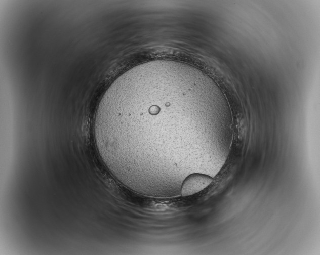 X0000094180753200711091142