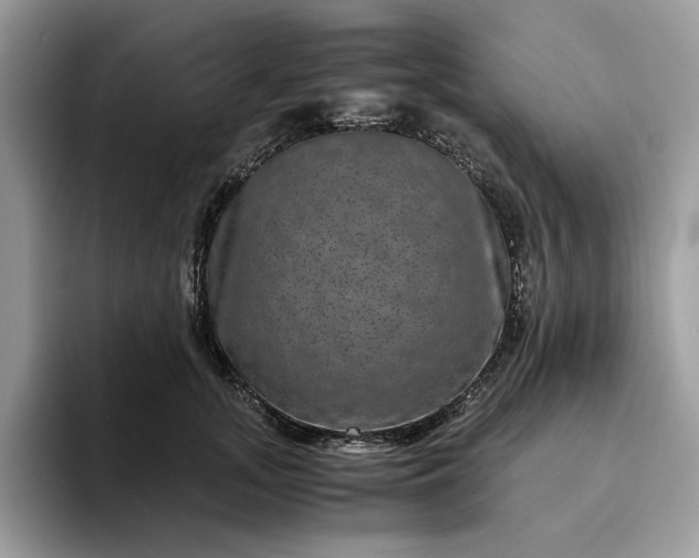 X0000094180755200711091142